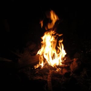A vertical shot of burning wood in a campfire at night